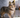 Dog Dieting Tips: What To Feed Your Dog For Weight Loss