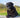 Senior Labrador sat outside
