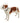 BUSTER Collar Classic for Dogs