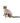 BUSTER Body Suit Step'n Go Cats